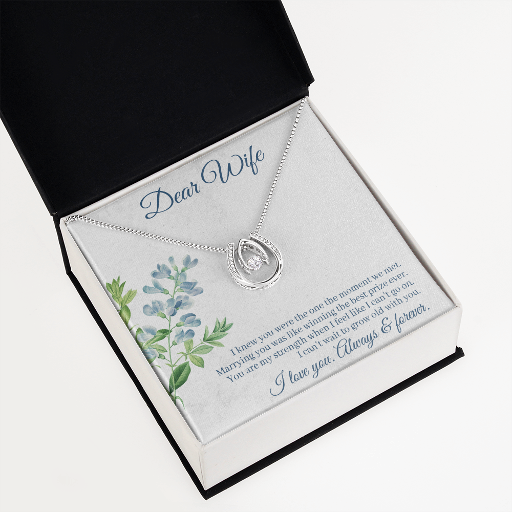 To My Wife One Moment Lucky Horseshoe Necklace Message Card 14k w CZ Crystals-Express Your Love Gifts