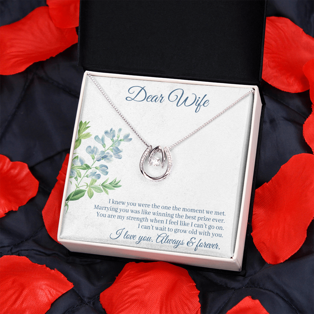 To My Wife One Moment Lucky Horseshoe Necklace Message Card 14k w CZ Crystals-Express Your Love Gifts