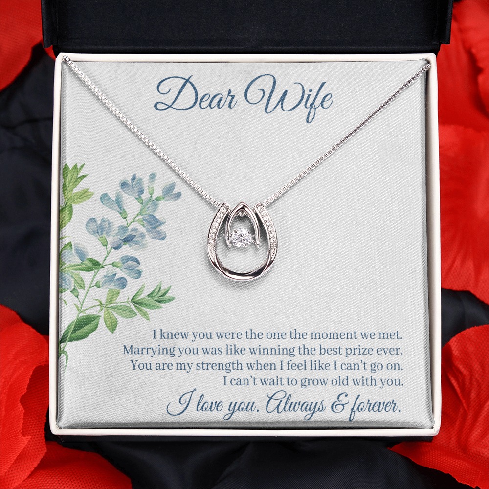 To My Wife One Moment Lucky Horseshoe Necklace Message Card 14k w CZ Crystals-Express Your Love Gifts