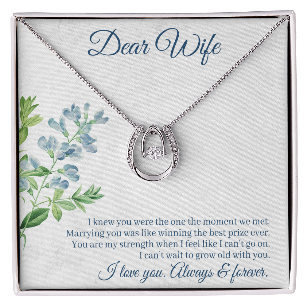 To My Wife One Moment Lucky Horseshoe Necklace Message Card 14k w CZ Crystals-Express Your Love Gifts