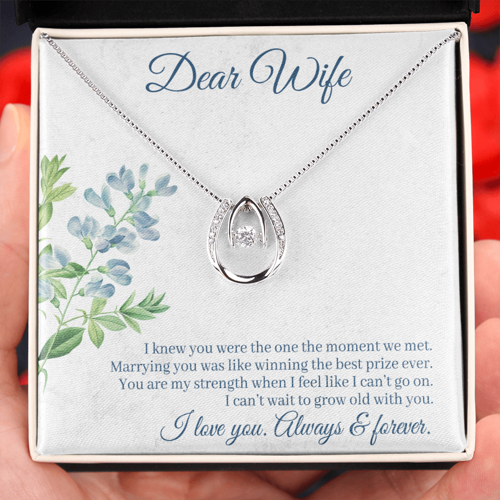 To My Wife One Moment Lucky Horseshoe Necklace Message Card 14k w CZ Crystals-Express Your Love Gifts