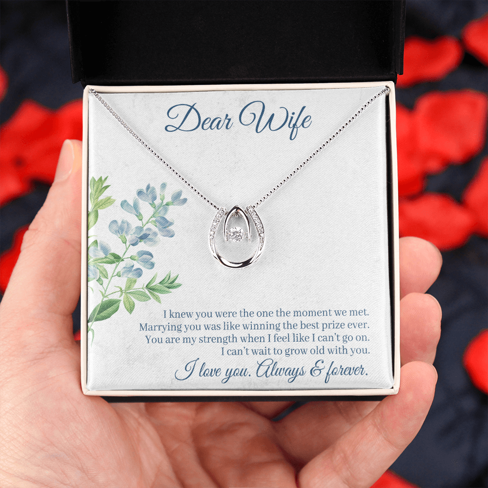 To My Wife One Moment Lucky Horseshoe Necklace Message Card 14k w CZ Crystals-Express Your Love Gifts