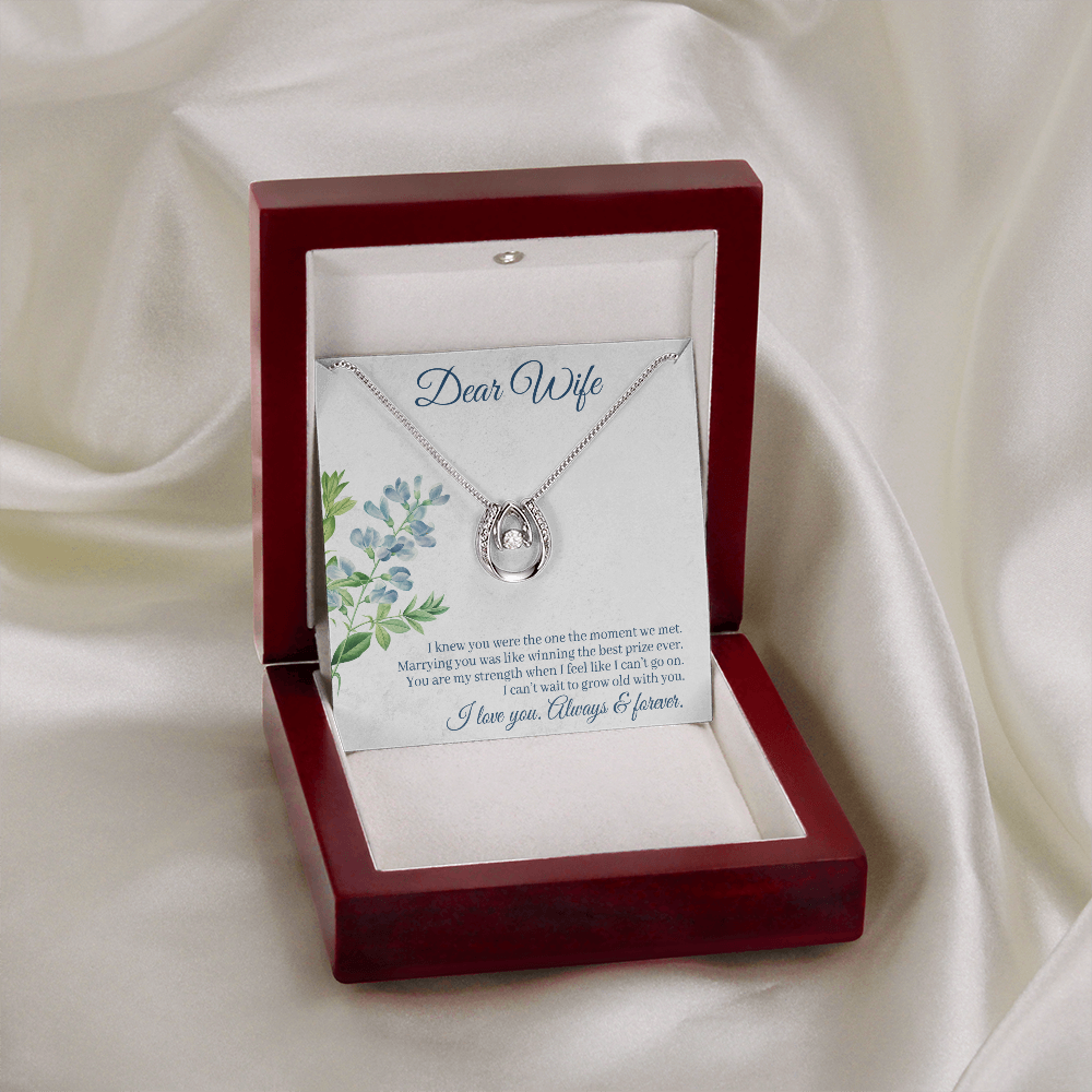 To My Wife One Moment Lucky Horseshoe Necklace Message Card 14k w CZ Crystals-Express Your Love Gifts