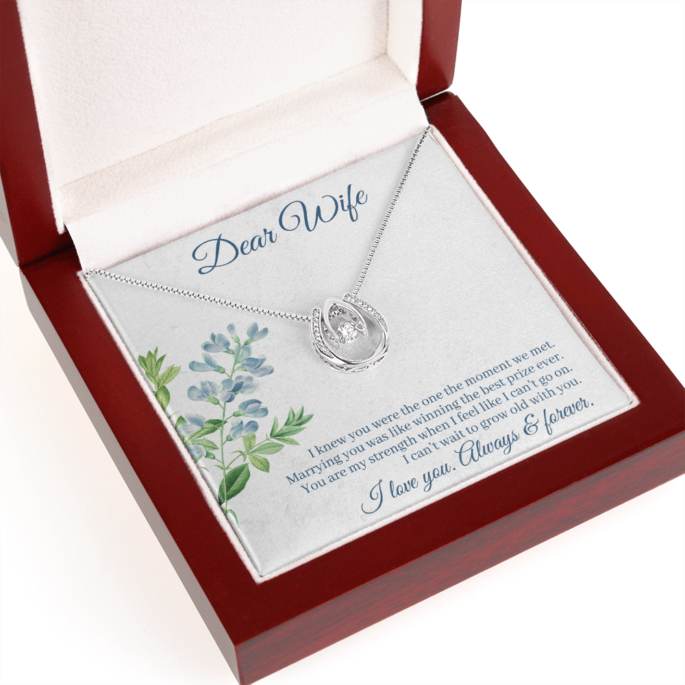 To My Wife One Moment Lucky Horseshoe Necklace Message Card 14k w CZ Crystals-Express Your Love Gifts