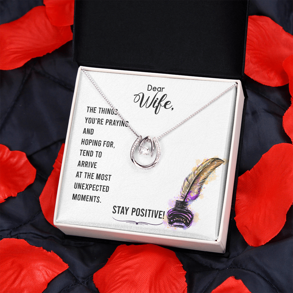 To My Wife Stay Positive Lucky Horseshoe Necklace Message Card 14k w CZ Crystals-Express Your Love Gifts