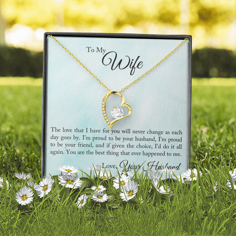 To My Wife The Love That I Have Forever Necklace w Message Card-Express Your Love Gifts