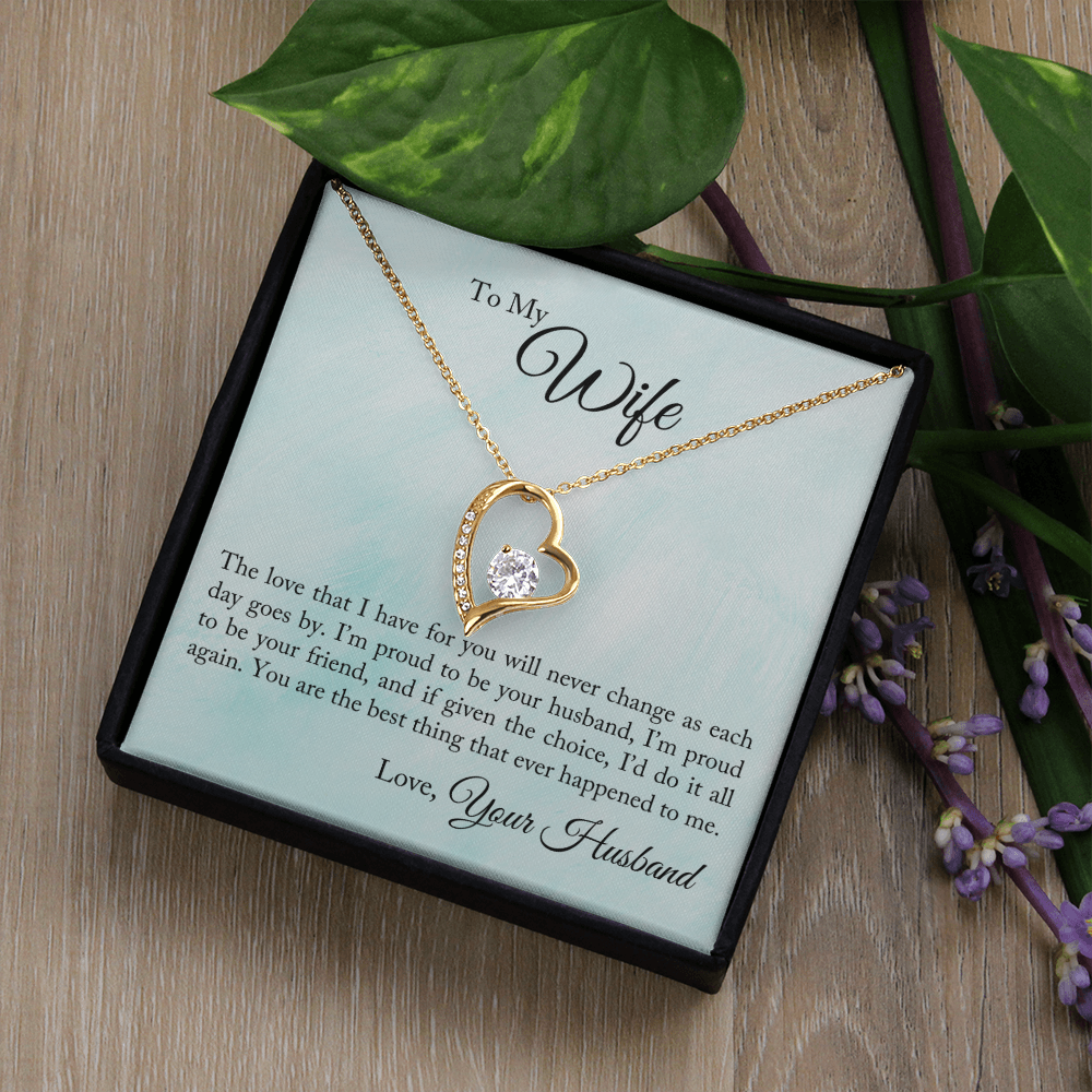 To My Wife The Love That I Have Forever Necklace w Message Card-Express Your Love Gifts