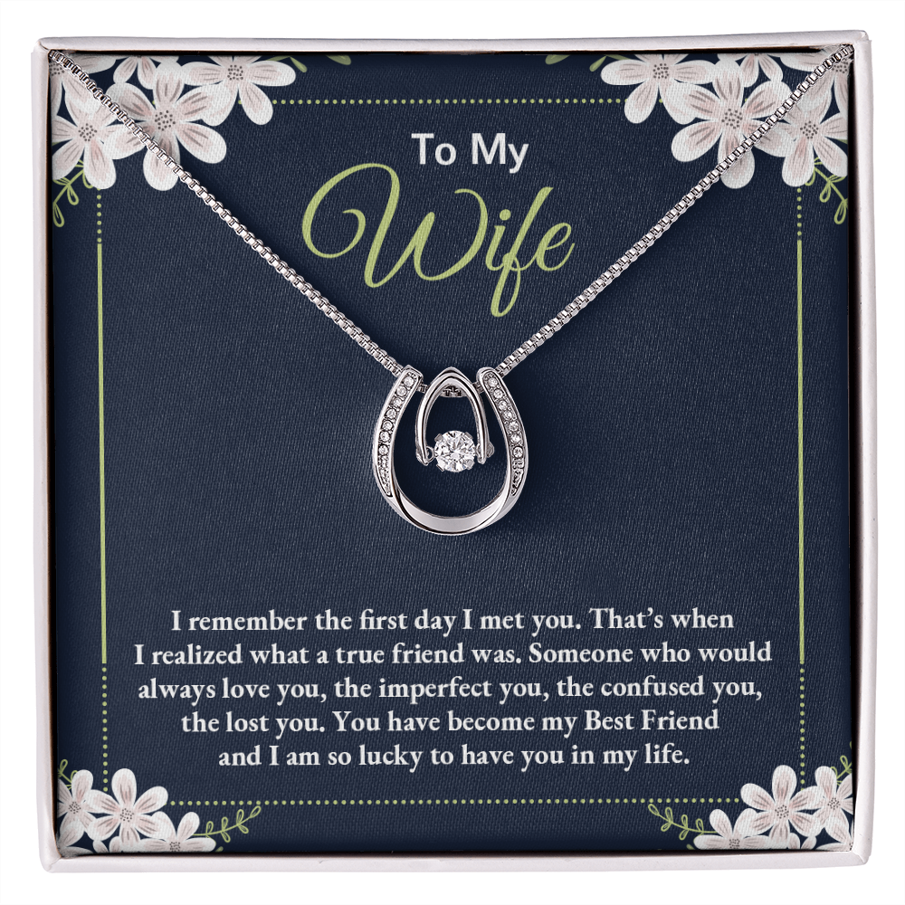 To My Wife True Friend Lucky Horseshoe Necklace Message Card 14k w CZ Crystals-Express Your Love Gifts