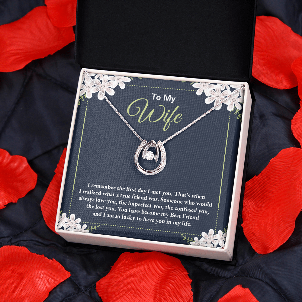 To My Wife True Friend Lucky Horseshoe Necklace Message Card 14k w CZ Crystals-Express Your Love Gifts