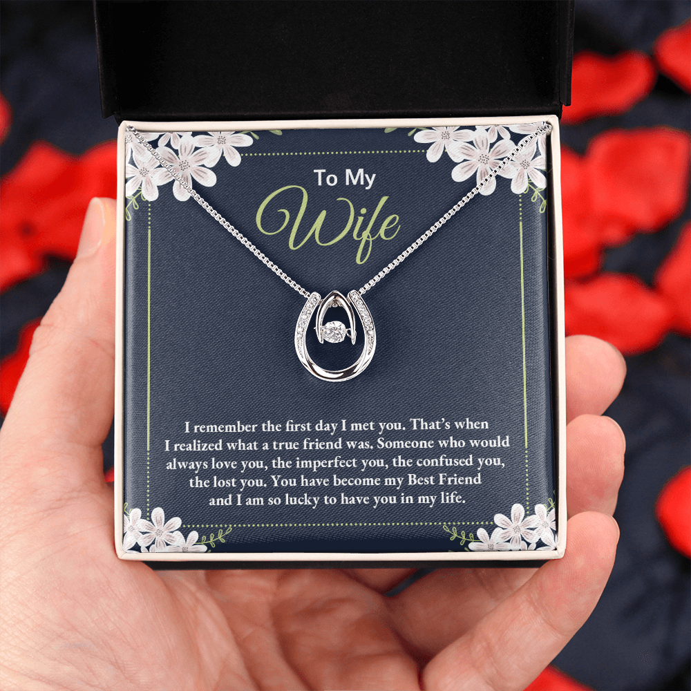 To My Wife True Friend Lucky Horseshoe Necklace Message Card 14k w CZ Crystals-Express Your Love Gifts