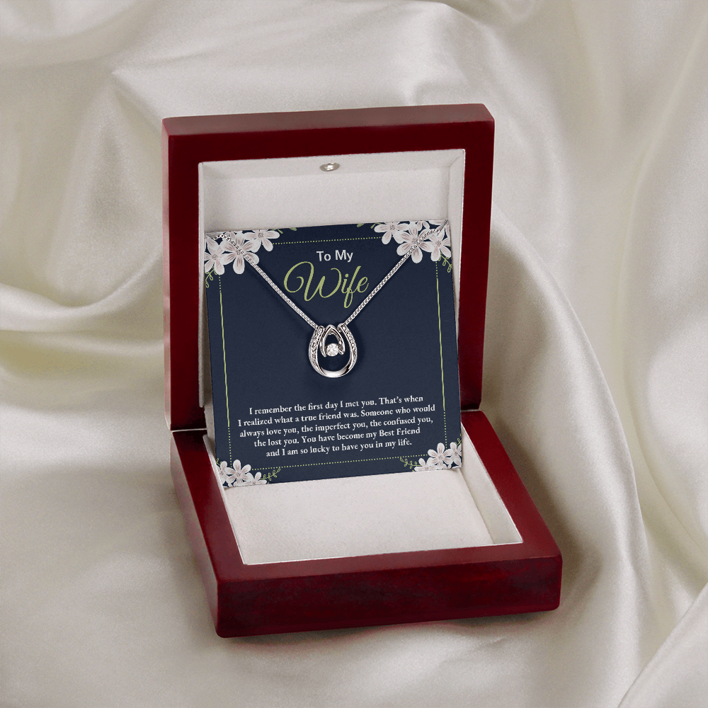 To My Wife True Friend Lucky Horseshoe Necklace Message Card 14k w CZ Crystals-Express Your Love Gifts