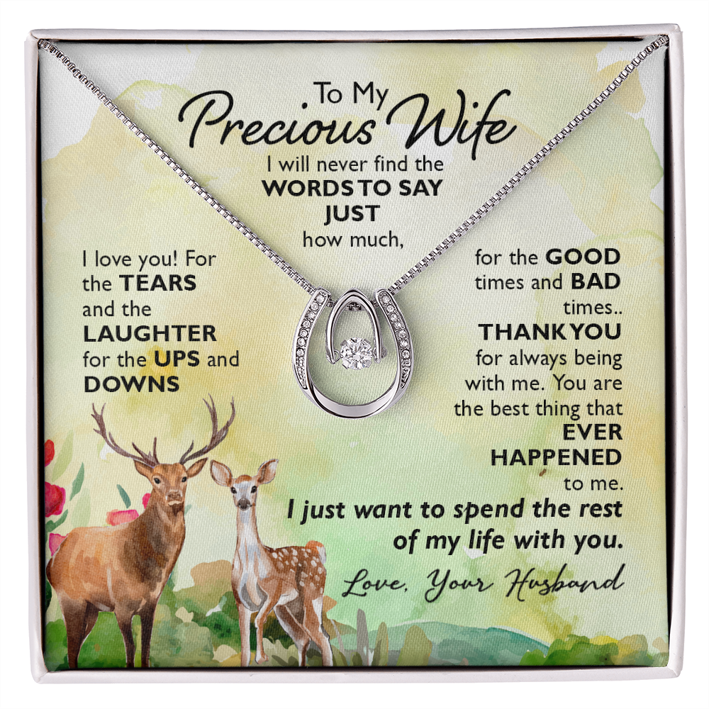 To My Wife Ups and Downs Lucky Horseshoe Necklace Message Card 14k w CZ Crystals-Express Your Love Gifts