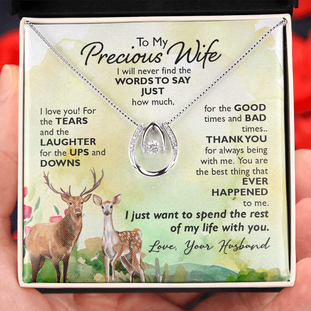 To My Wife Ups and Downs Lucky Horseshoe Necklace Message Card 14k w CZ Crystals-Express Your Love Gifts