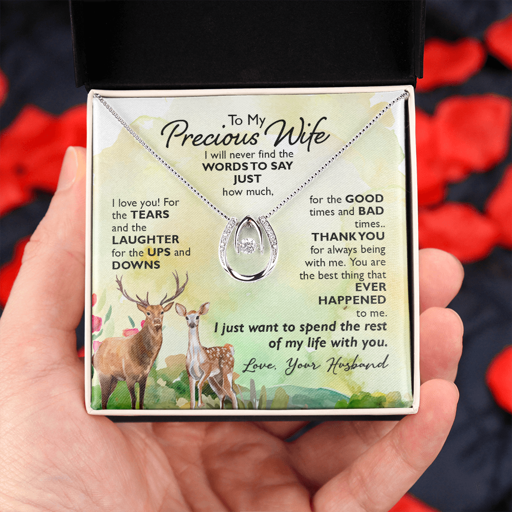 To My Wife Ups and Downs Lucky Horseshoe Necklace Message Card 14k w CZ Crystals-Express Your Love Gifts