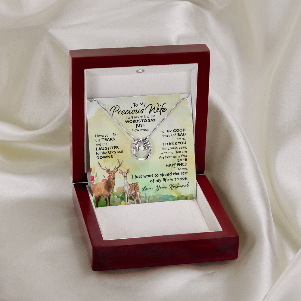 To My Wife Ups and Downs Lucky Horseshoe Necklace Message Card 14k w CZ Crystals-Express Your Love Gifts