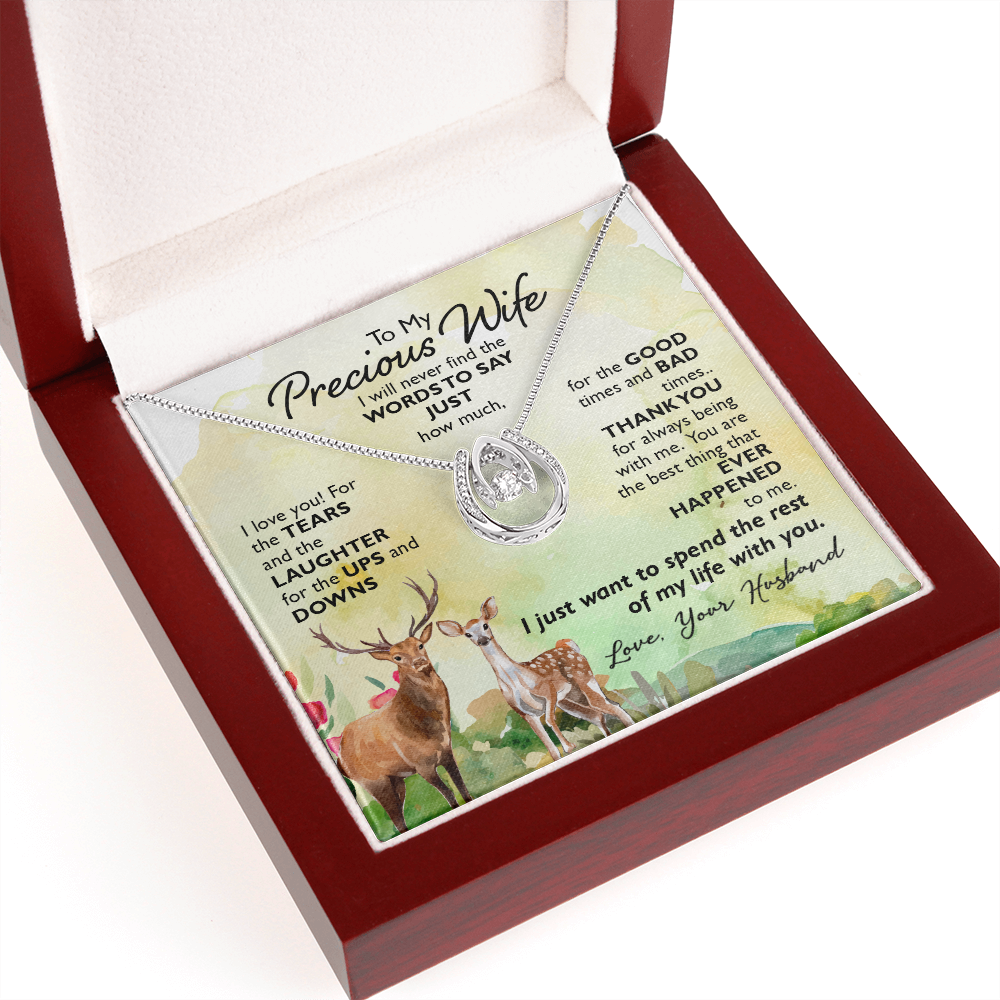 To My Wife Ups and Downs Lucky Horseshoe Necklace Message Card 14k w CZ Crystals-Express Your Love Gifts