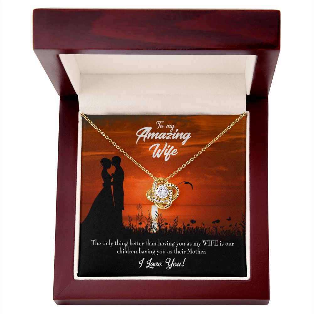 To My Wife Wife and Mother Infinity Knot Necklace Message Card-Express Your Love Gifts