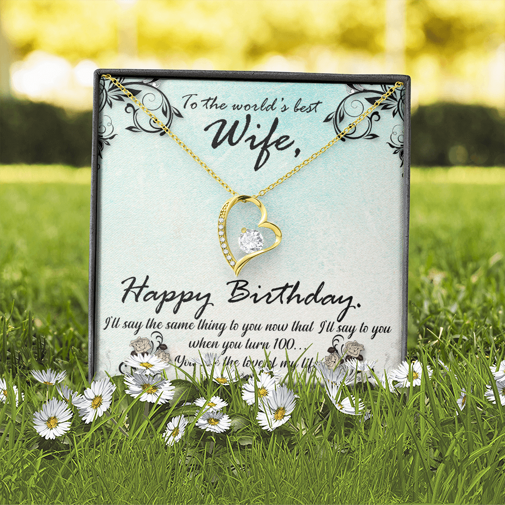 To My Wife You Are The Love of My Life Birthday Message Forever Necklace w Message Card-Express Your Love Gifts