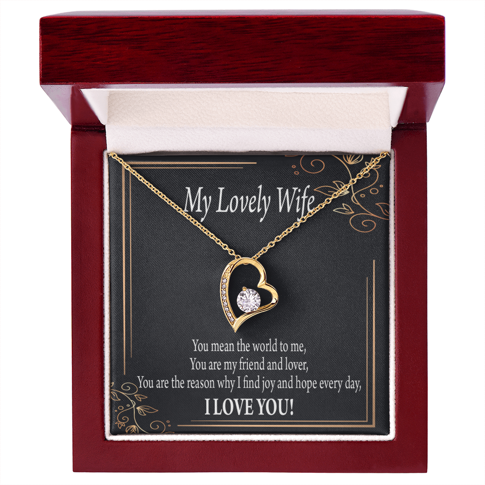 To My Wife You Are The Reason Forever Necklace w Message Card-Express Your Love Gifts