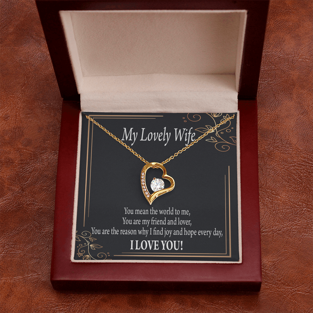 To My Wife You Are The Reason Forever Necklace w Message Card-Express Your Love Gifts