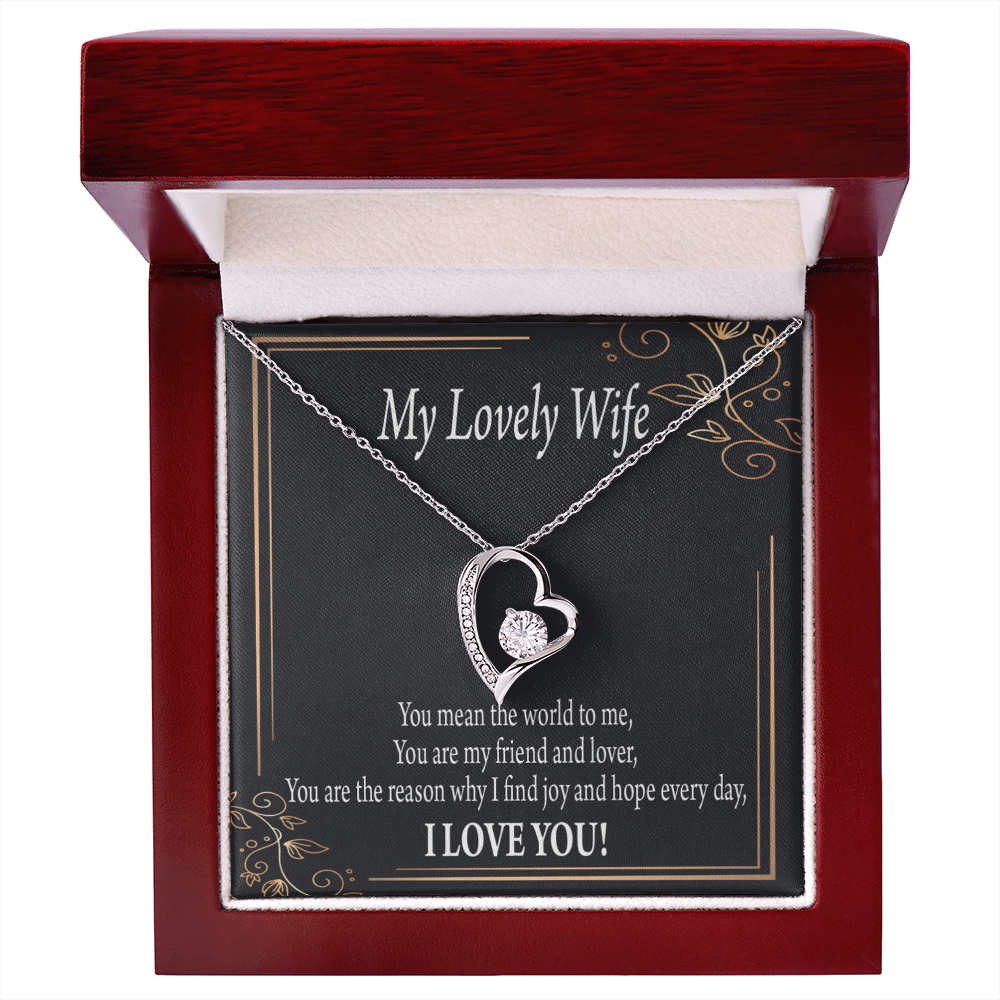 To My Wife You Are The Reason Forever Necklace w Message Card-Express Your Love Gifts