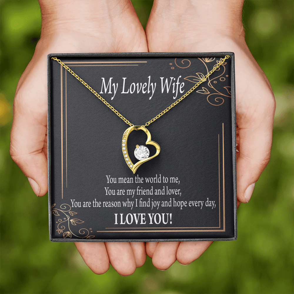 To My Wife You Are The Reason Forever Necklace w Message Card-Express Your Love Gifts