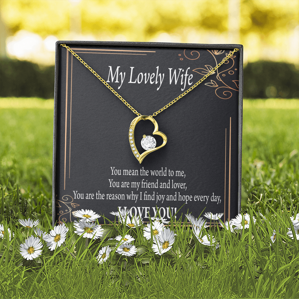 To My Wife You Are The Reason Forever Necklace w Message Card-Express Your Love Gifts