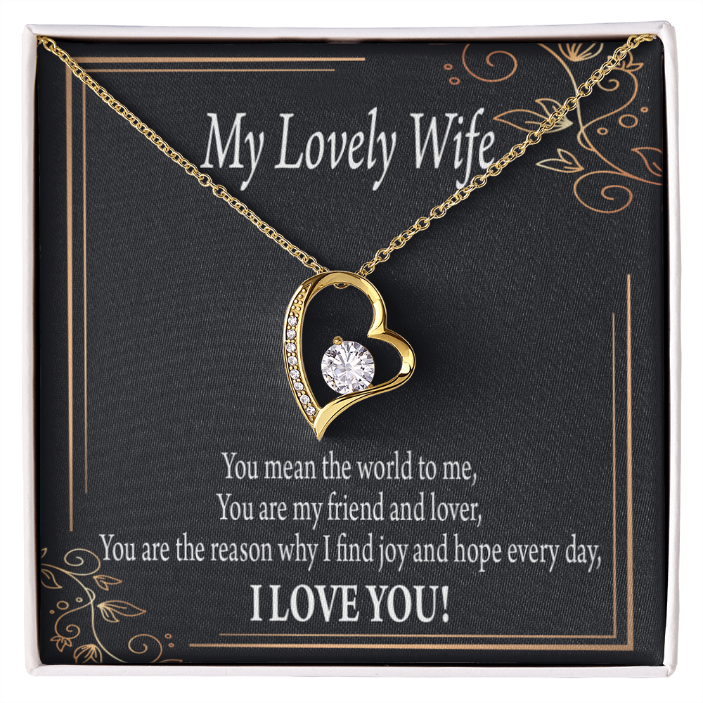 To My Wife You Are The Reason Forever Necklace w Message Card-Express Your Love Gifts