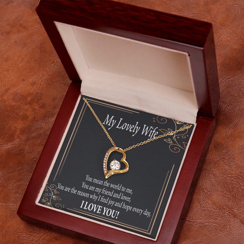 To My Wife You Are The Reason Forever Necklace w Message Card-Express Your Love Gifts