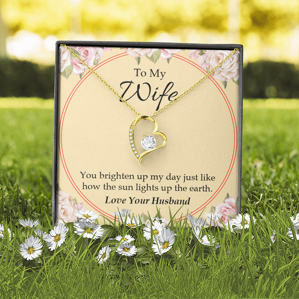 To My Wife You Brighten Up My Day Forever Necklace w Message Card-Express Your Love Gifts