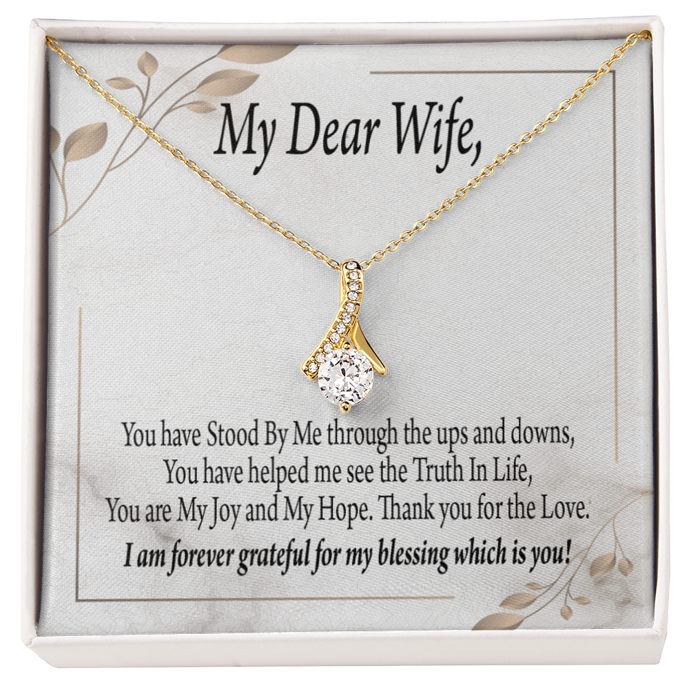 To My Wife You Have Stood by Me Alluring Ribbon Necklace Message Card-Express Your Love Gifts