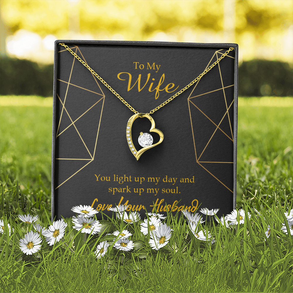 To My Wife You Light Up My Day Forever Necklace w Message Card-Express Your Love Gifts