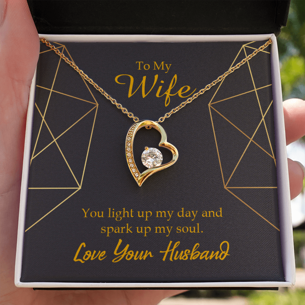 To My Wife You Light Up My Day Forever Necklace w Message Card-Express Your Love Gifts