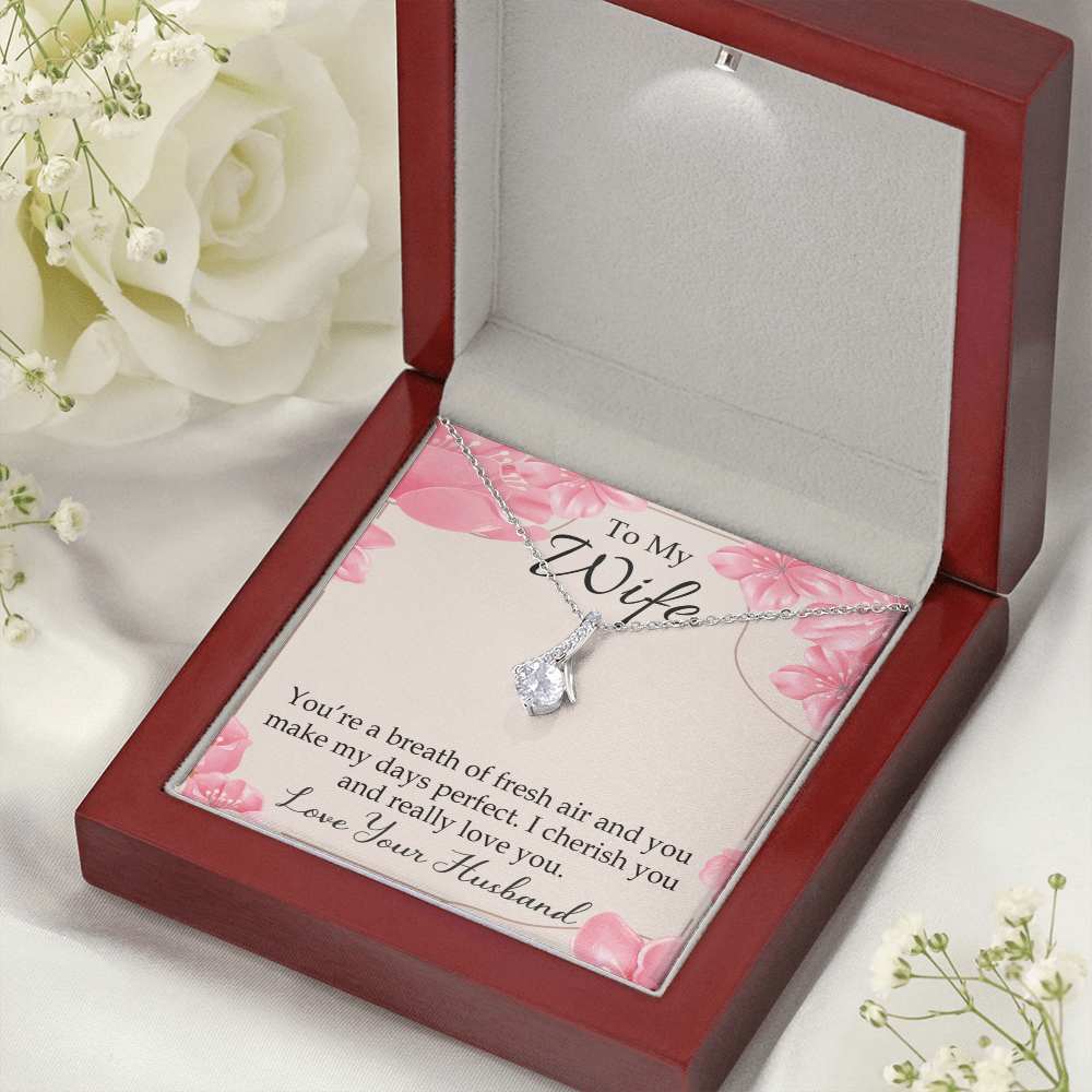 To My Wife You’re a Breath of Fresh Air Alluring Ribbon Necklace Message Card-Express Your Love Gifts