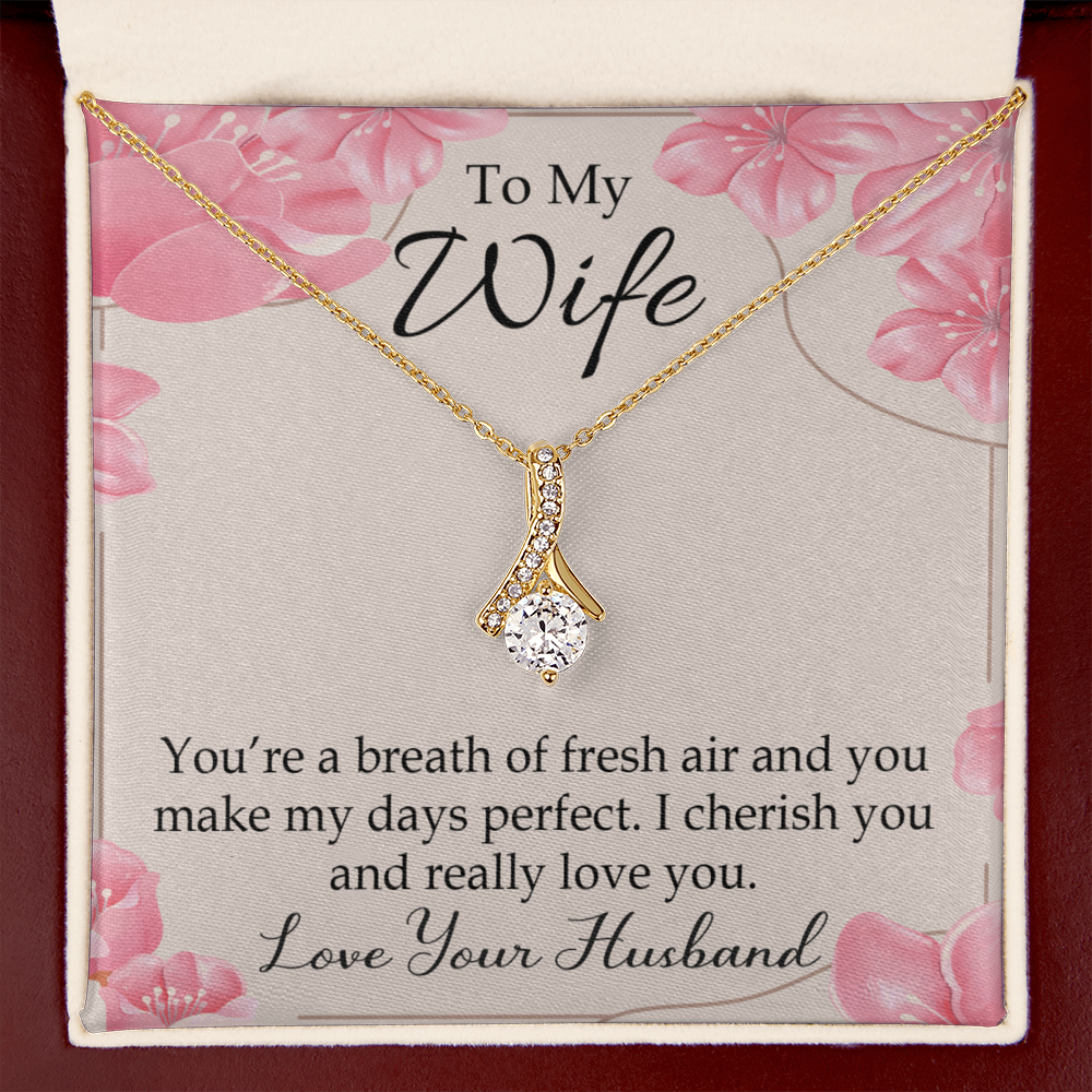 To My Wife You’re a Breath of Fresh Air Alluring Ribbon Necklace Message Card-Express Your Love Gifts