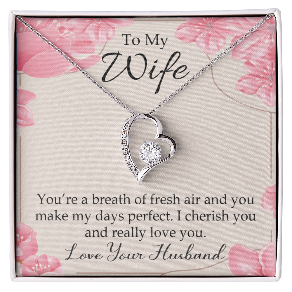 To My Wife You’re a Breath of Fresh Air Forever Necklace w Message Card-Express Your Love Gifts