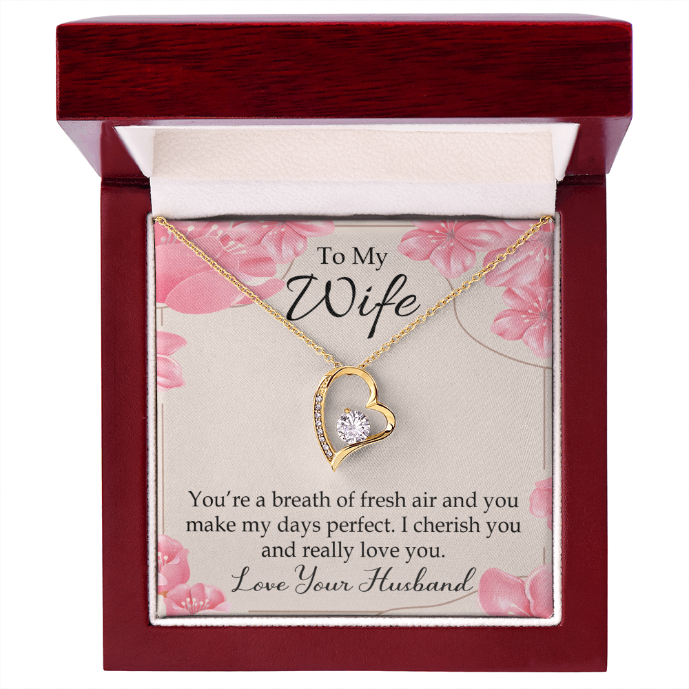 To My Wife You’re a Breath of Fresh Air Forever Necklace w Message Card-Express Your Love Gifts