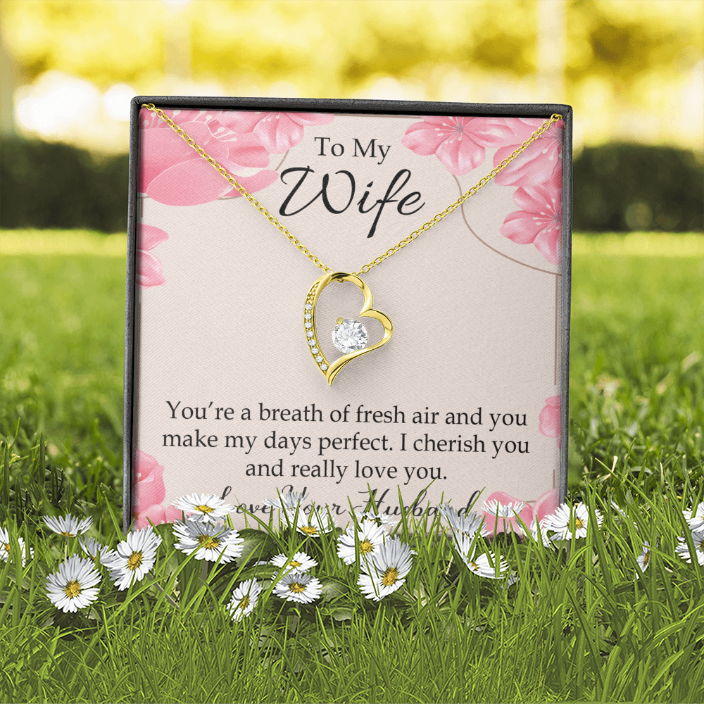 To My Wife You’re a Breath of Fresh Air Forever Necklace w Message Card-Express Your Love Gifts