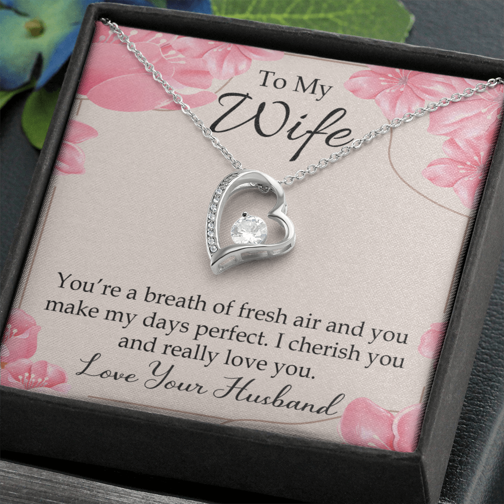 To My Wife You’re a Breath of Fresh Air Forever Necklace w Message Card-Express Your Love Gifts