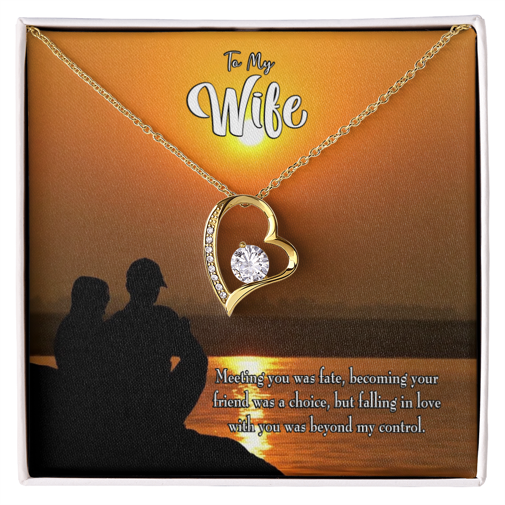 To My Wife You're my Fate Forever Necklace w Message Card-Express Your Love Gifts