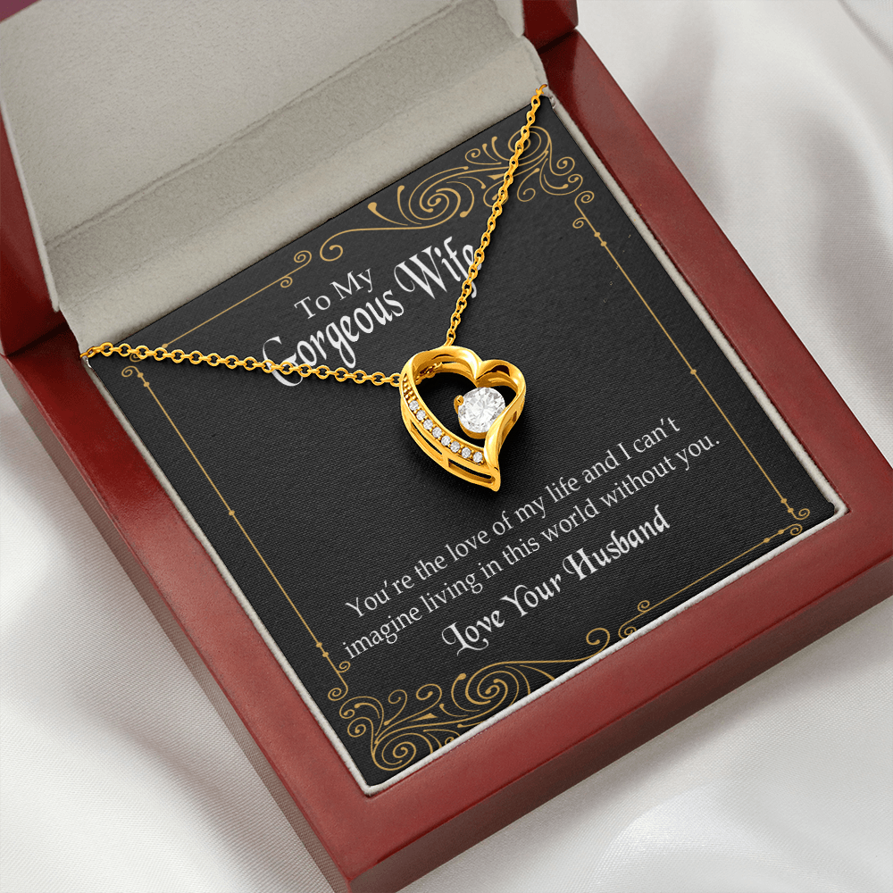To My Wife You’re The Love of My Life Forever Necklace w Message Card-Express Your Love Gifts