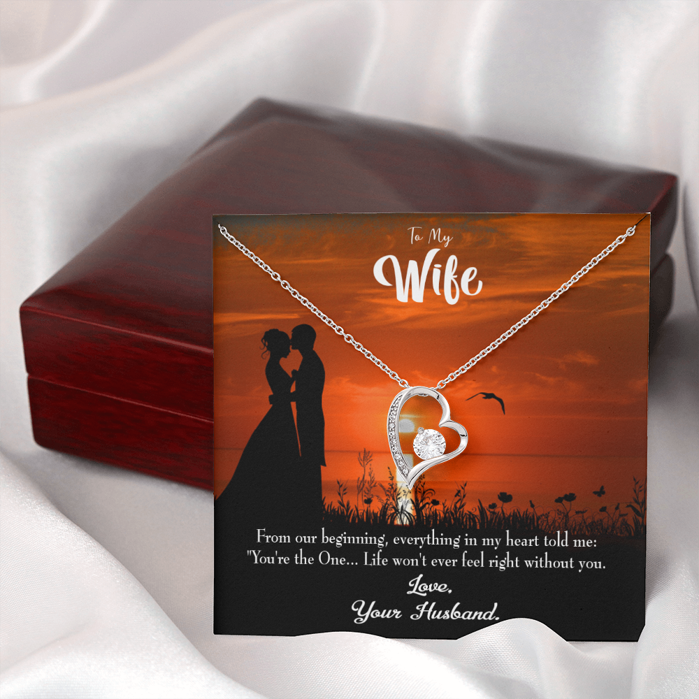 To My Wife You're the One! Forever Necklace w Message Card-Express Your Love Gifts