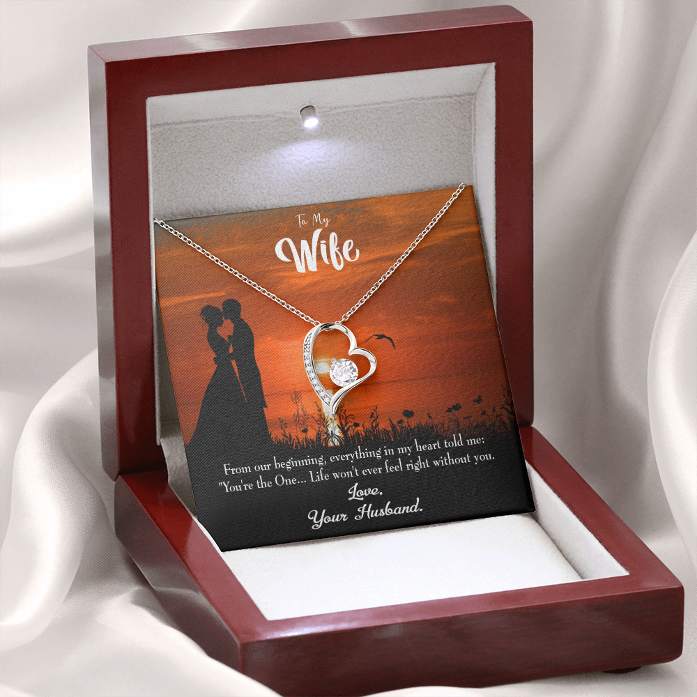 To My Wife You're the One! Forever Necklace w Message Card-Express Your Love Gifts