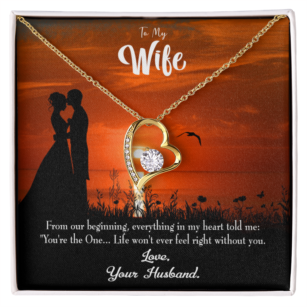 To My Wife You're the One! Forever Necklace w Message Card-Express Your Love Gifts