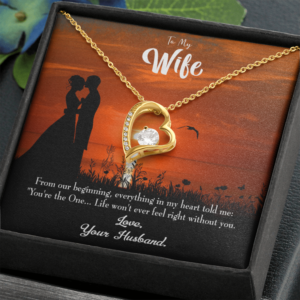 To My Wife You're the One! Forever Necklace w Message Card-Express Your Love Gifts