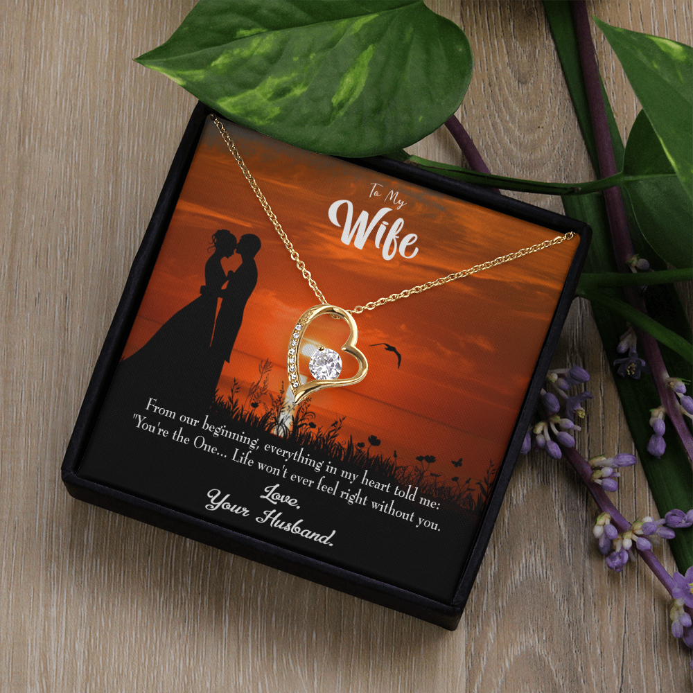 To My Wife You're the One! Forever Necklace w Message Card-Express Your Love Gifts