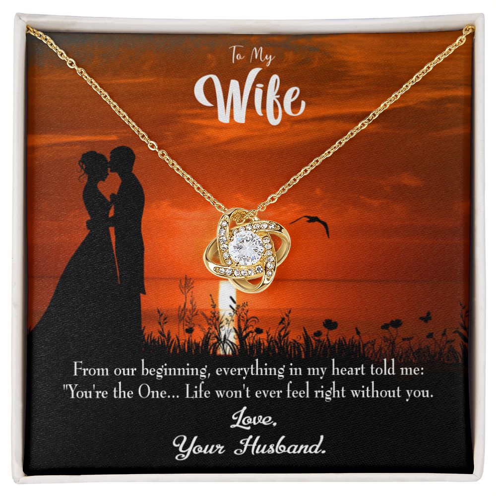 To My Wife You're the One! Infinity Knot Necklace Message Card-Express Your Love Gifts