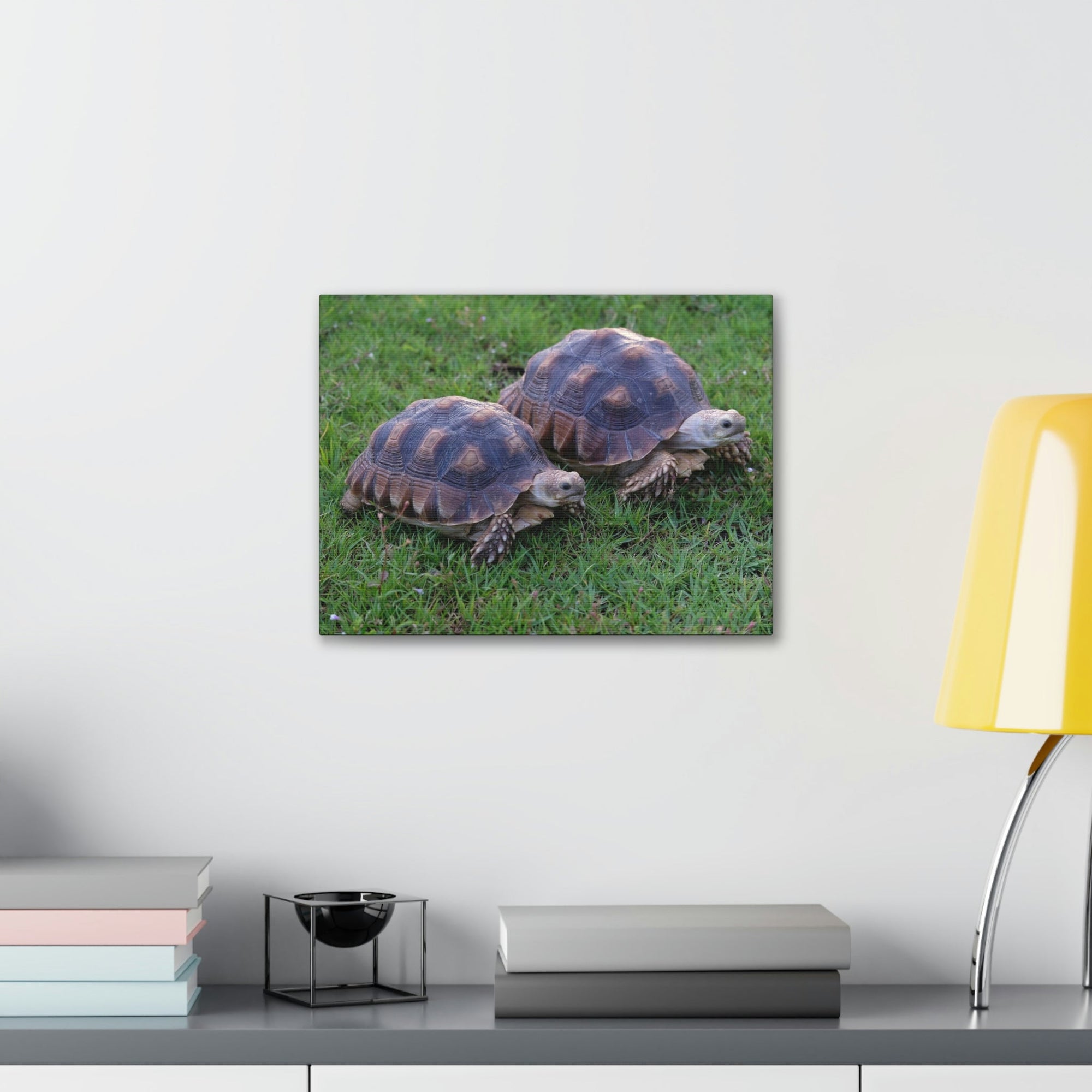 Scripture Walls Tortoise Couple Tortoise Couple Print Animal Wall Art Wildlife Canvas Prints Wall Art Ready to Hang Unframed-Express Your Love Gifts