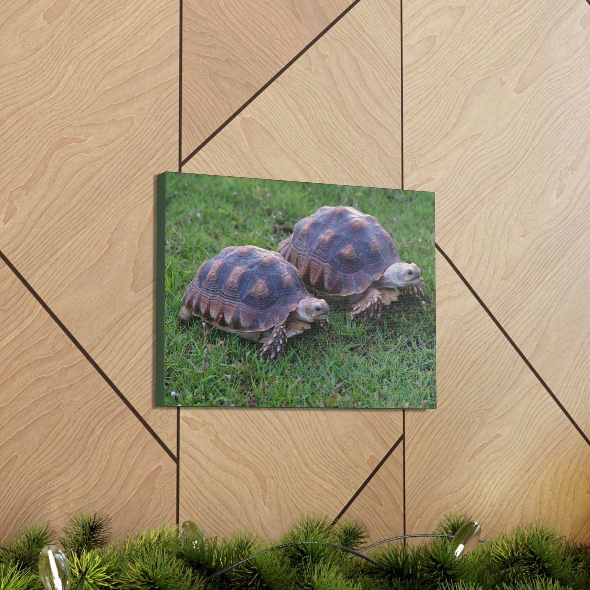 Scripture Walls Tortoise Couple Tortoise Couple Print Animal Wall Art Wildlife Canvas Prints Wall Art Ready to Hang Unframed-Express Your Love Gifts