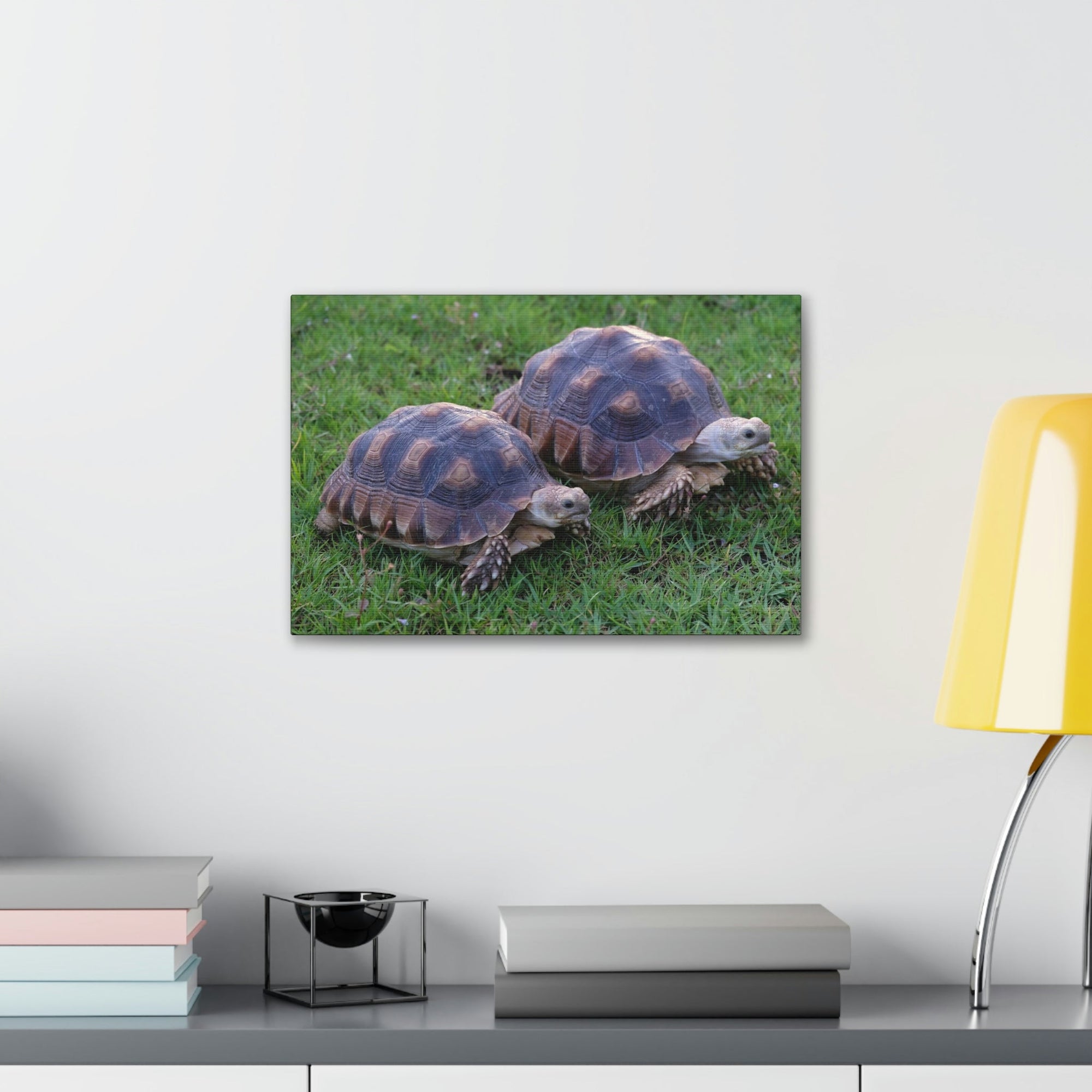 Scripture Walls Tortoise Couple Tortoise Couple Print Animal Wall Art Wildlife Canvas Prints Wall Art Ready to Hang Unframed-Express Your Love Gifts